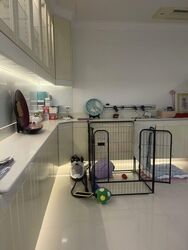 Rosyth Road (D19), Terrace #460240881